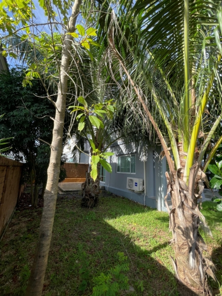 House for rent in Thalang, pet-friendly with a spacious green garden and mature trees.